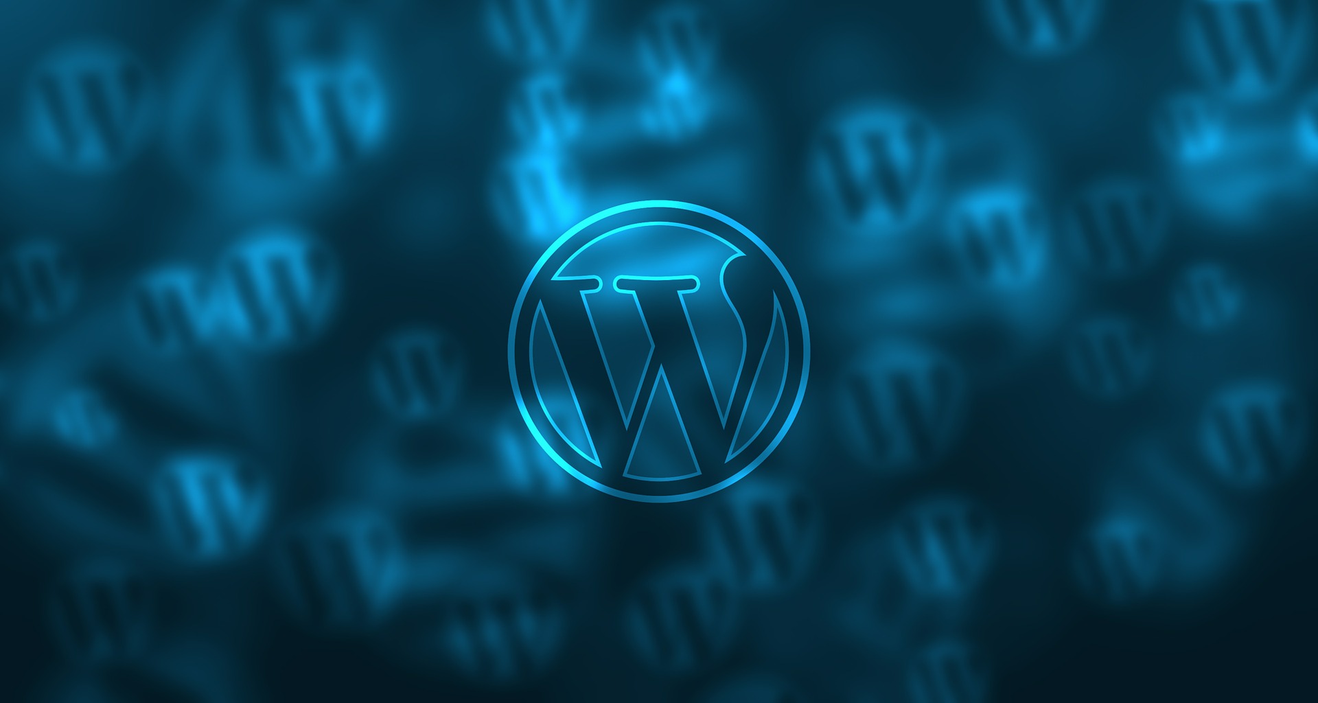 Your WordPress Website Redesign Funded by LEO Trading Online Voucher