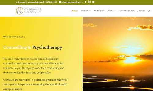 Rise Counselling Web Design